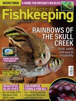 Practical Fishkeeping